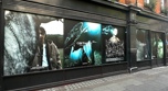 printed window graphics - carhartt soho